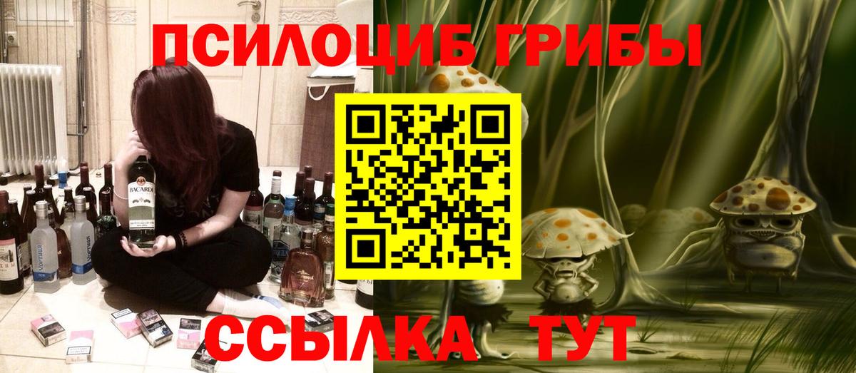 Михайловка  Псилоцибиновые грибы Psilocybine cubensis  Вход с VPN  Псилоцибиновые грибы мицелий 