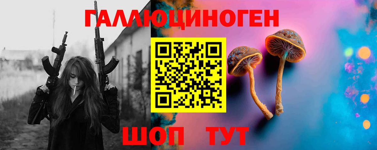 Галлюциногенные грибы ЛСД Михайловка